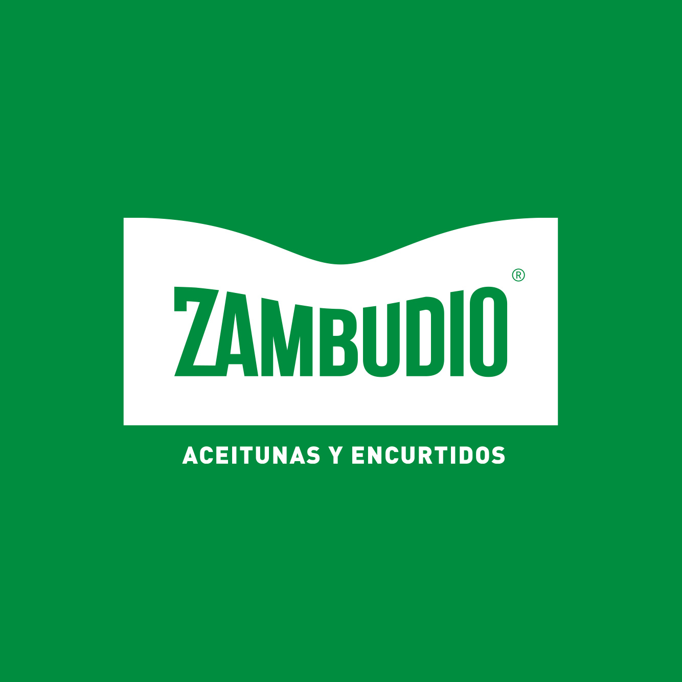 Identidad visual Aceitunas Zambudio Comunicación integral