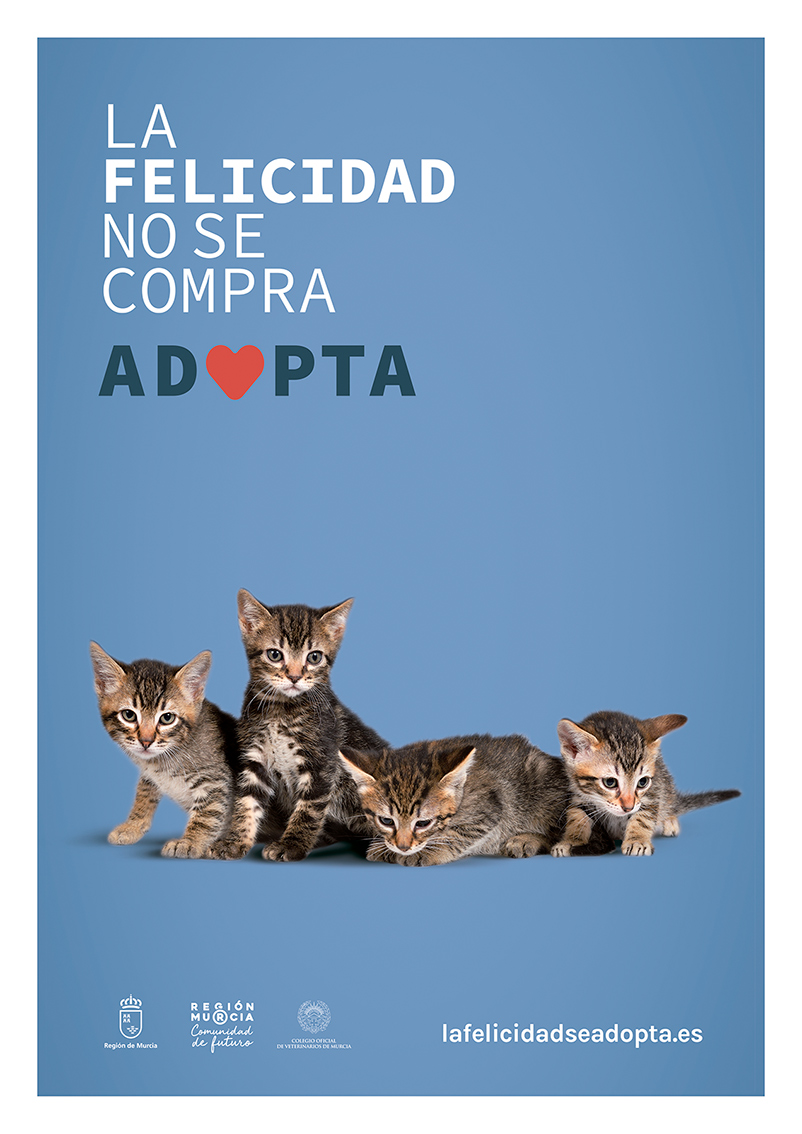 Versiones del cartel con animales reales de los centros de acogida. Adopta Campaña Web 