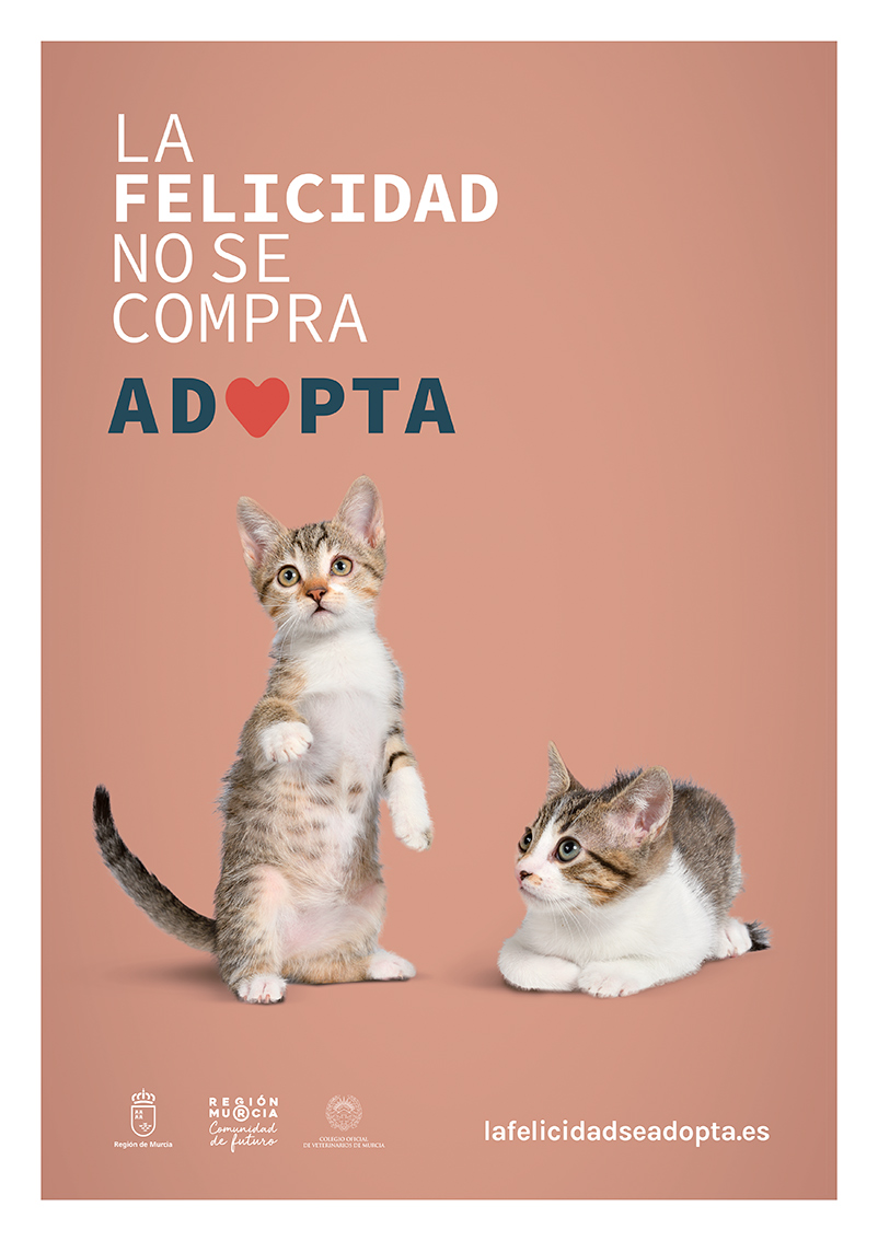 Versiones del cartel con animales reales de los centros de acogida.