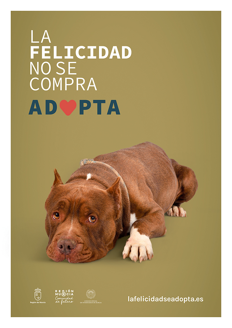 Versiones del cartel con animales reales de los centros de acogida.